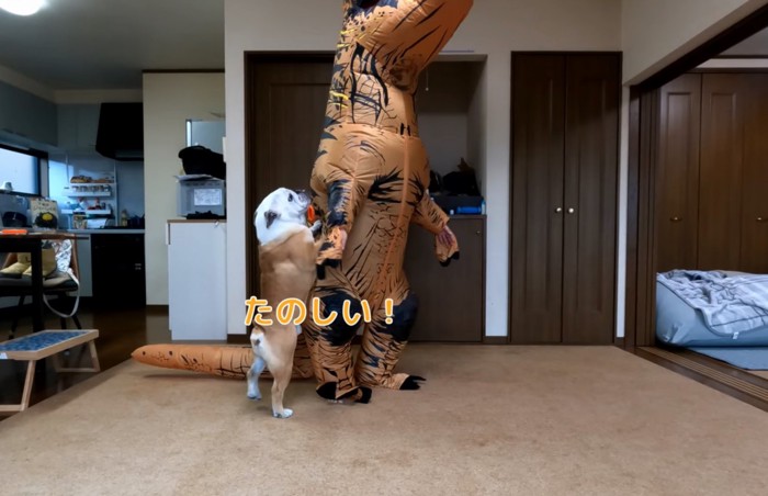 大喜びするブルドッグ