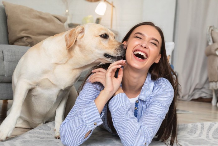 女性の顔のニオイを嗅ぐ犬