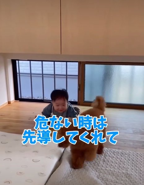 しゃがむ赤ちゃんと犬2