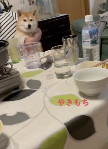 止まらない不満!