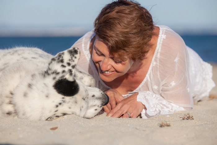 浜辺で人とくつろぐ犬