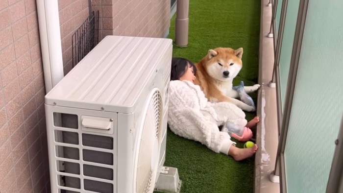 こむぎくんとひよりちゃん