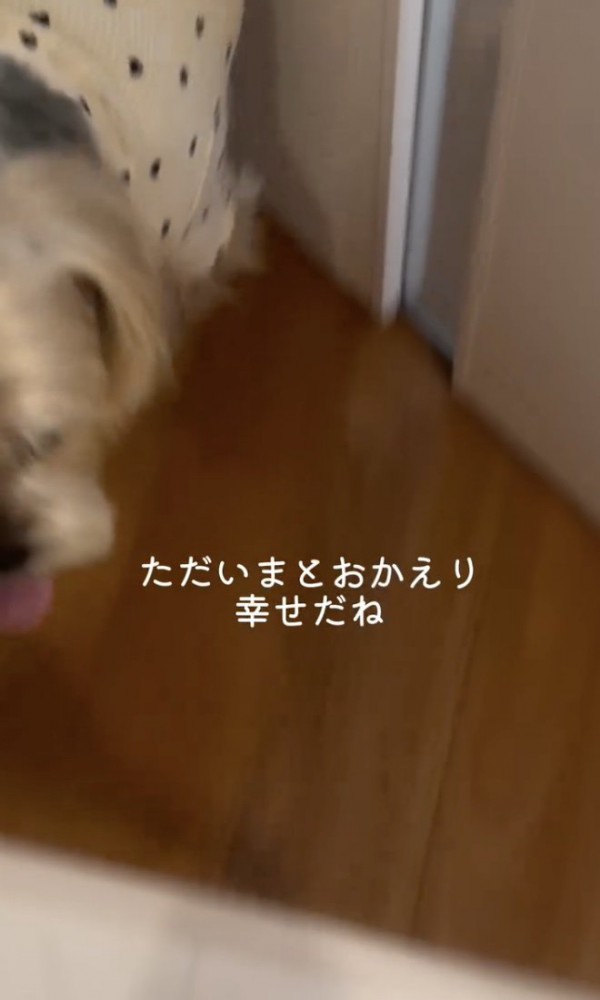 あえて嬉しい