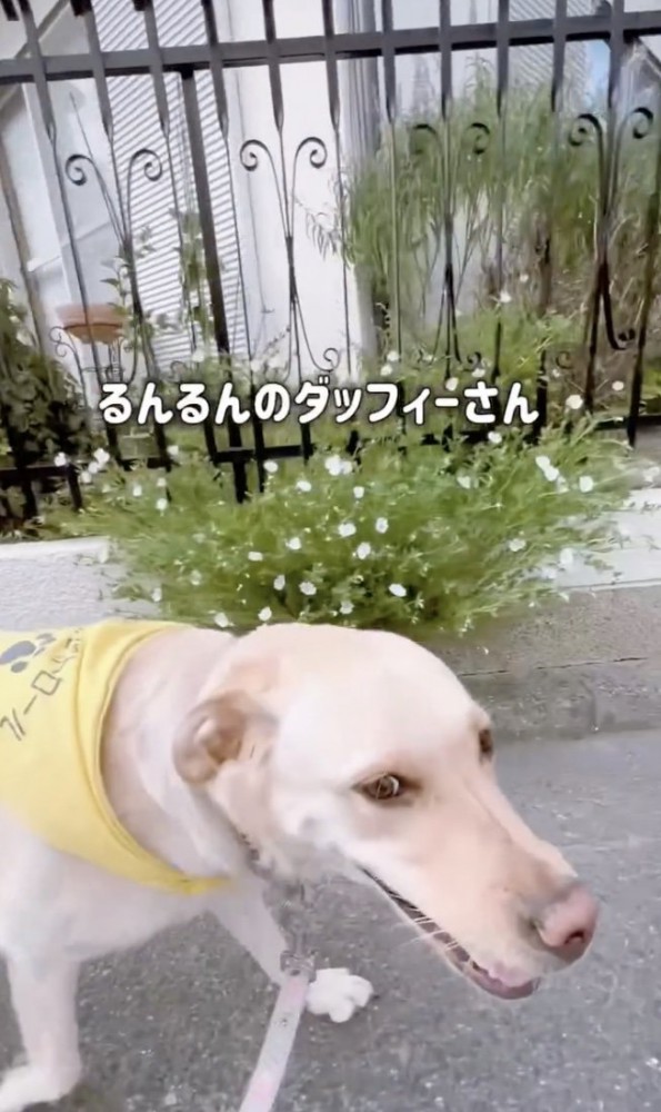 ウッキウキ