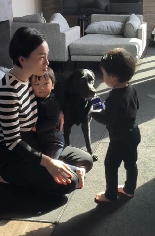 男の子のそばに立つ犬