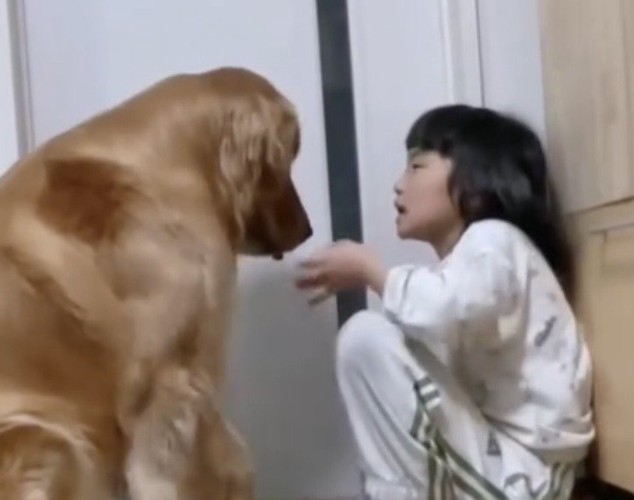 うつむく犬と女の子