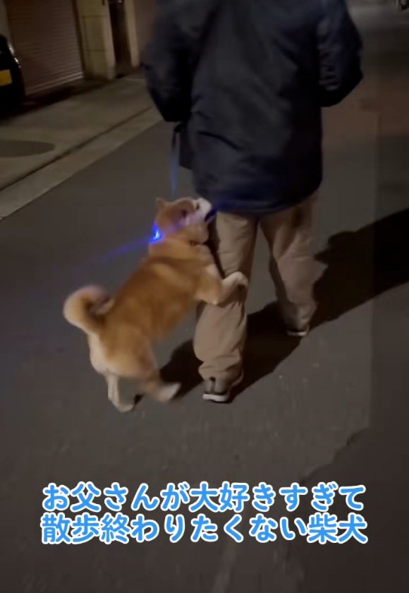 お父さんに飛びつくロンくん