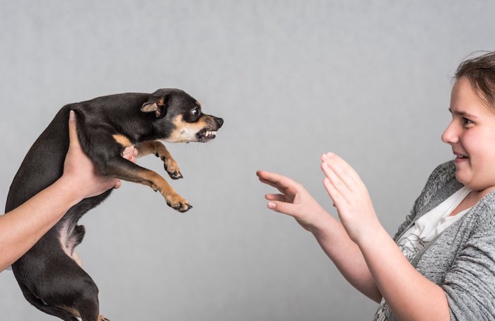 怖がって拒否する女性と嫌がる犬