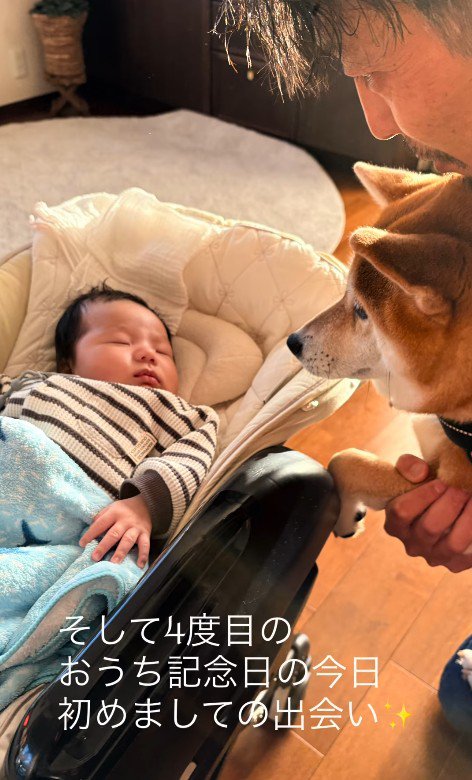 いとちゃんの成長記録8