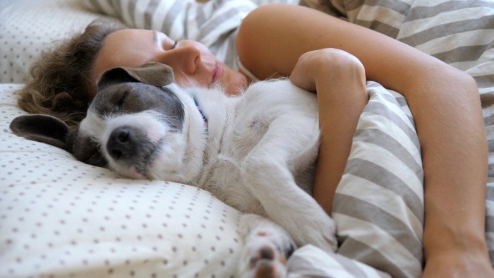 一緒に寝ている犬と女性