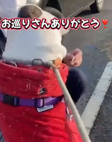 警察官に抱きつく犬