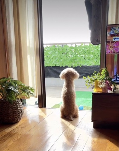 少しでも、前を向けたかな