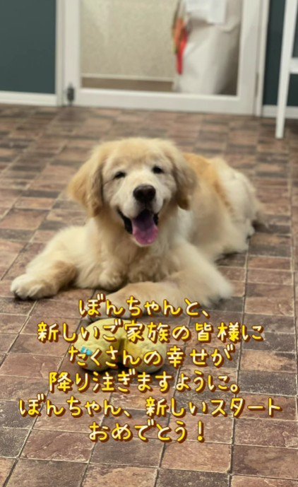 ぼんちゃん、幸せになってね！