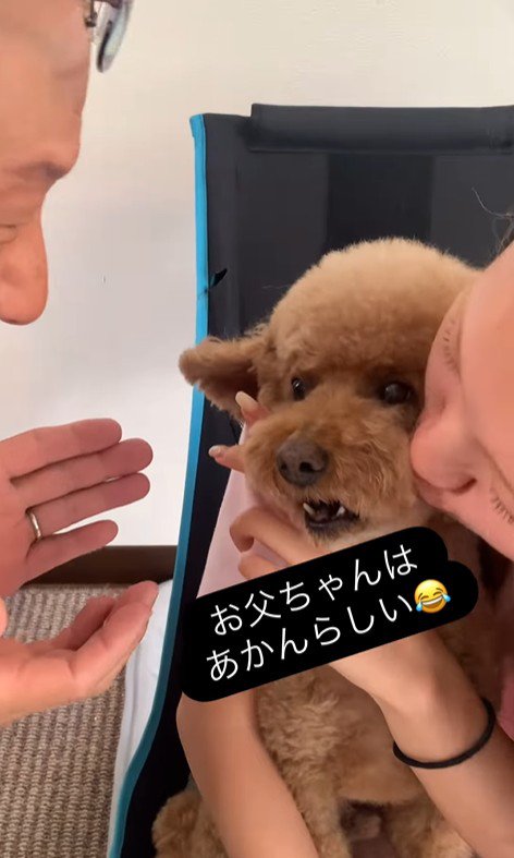 ドルくんの家族への態度の差8