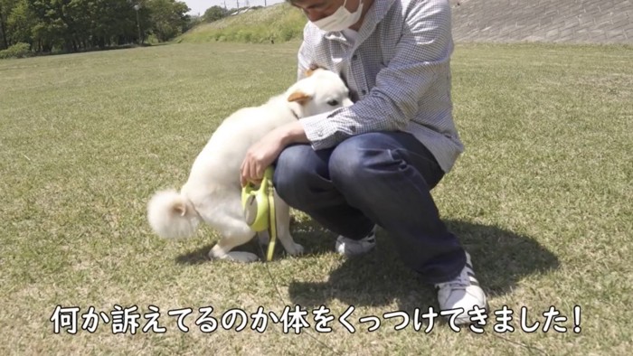 飼い主さんに近寄るノンくん