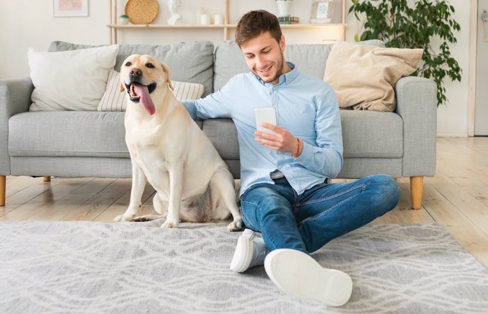 スマートフォンを見る飼い主の隣に座る犬