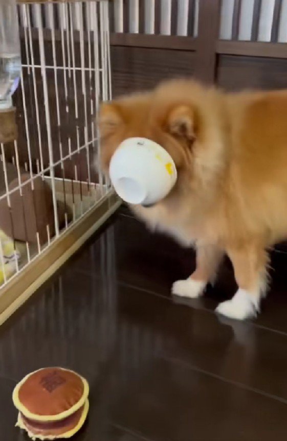 ゆっくり、確実に前進