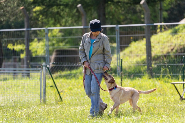 犬とトレーナー