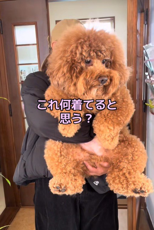 「何着てると思う？」と聞く飼い主さん