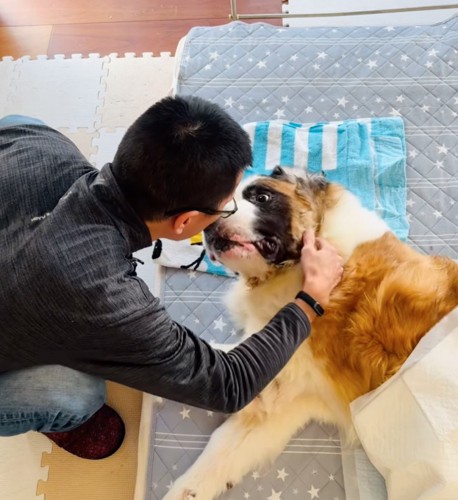 セロくんとお父さん