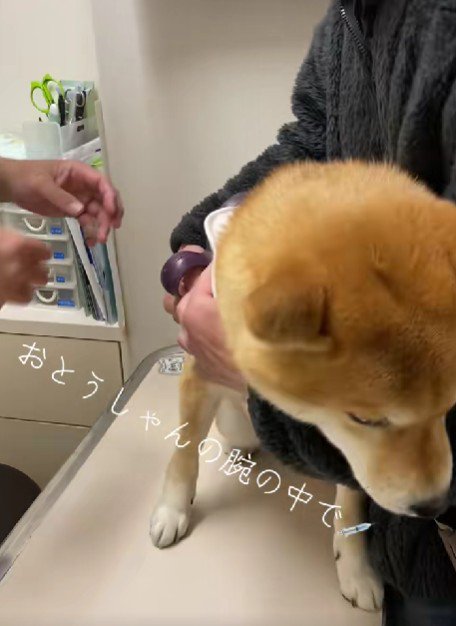 きた!!