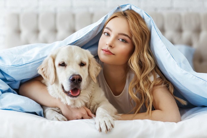 ベッドで伏せる犬と女性
