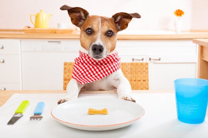 食卓の犬