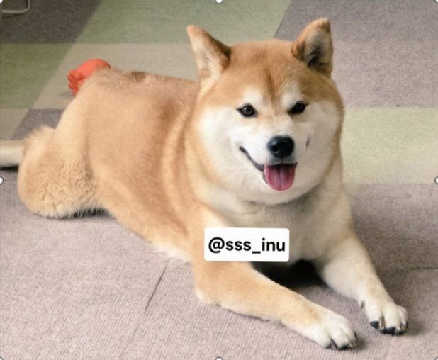 ニコニコ