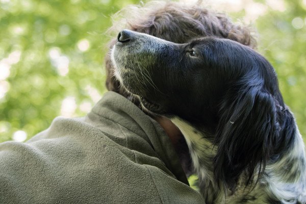 頬ずりする男性と犬