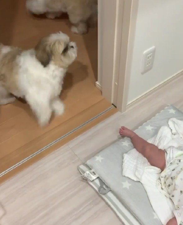 2匹そろって大慌て！！