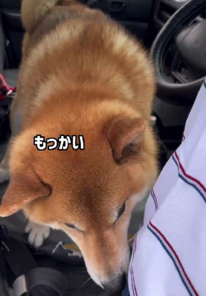 「本当の本当に現実？」