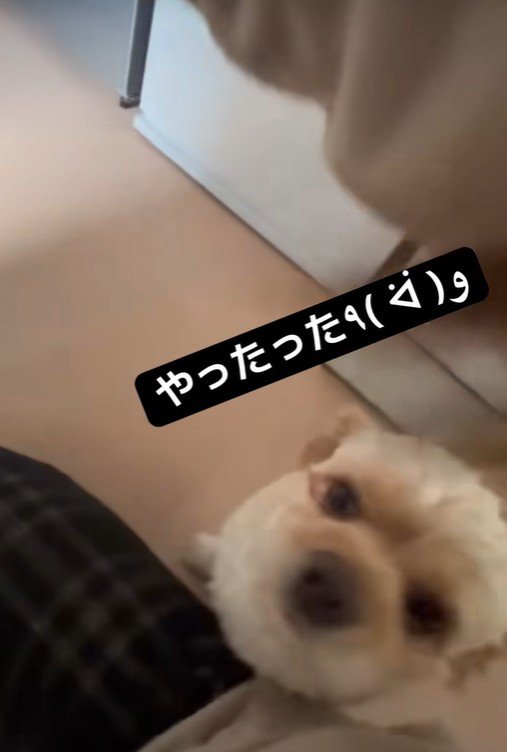 誇らしげに報告にきました♪