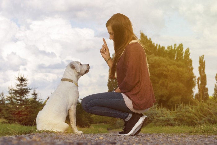 犬の前にしゃがむ女性