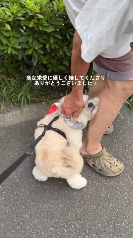 足に体を寄せてくる犬を撫でる男性