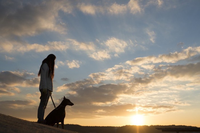 夕暮れにたたずむ犬と女性