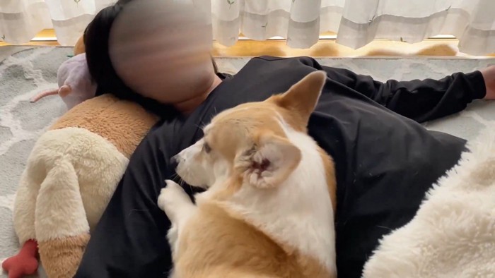 再び「撫でて」とホリホリ…