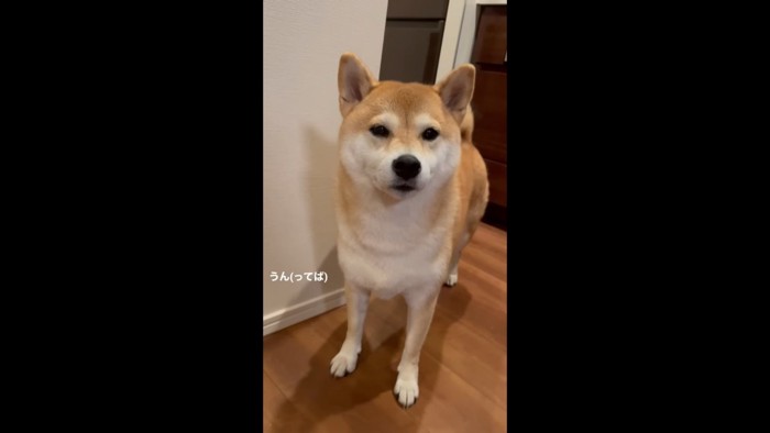 「チューデント食べようか！」「うん！！」