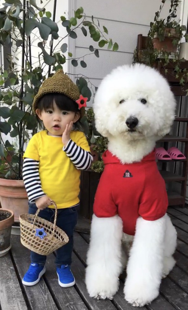 大きくなりました！