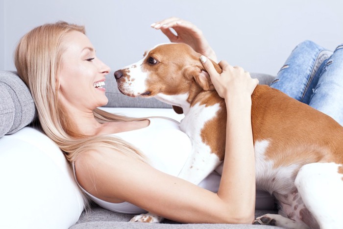 女性に撫でてもらう犬