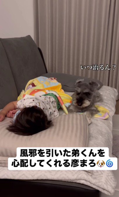 早く元気になってほしいね♪