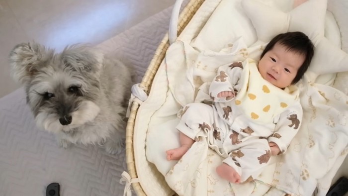 ずっと隣にいてくれるトトちゃん