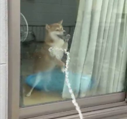 まさかの