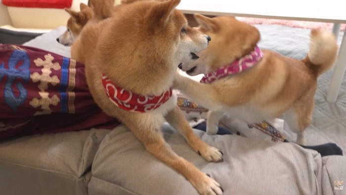 仕返しのつもりでパンチ！