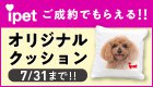 広告