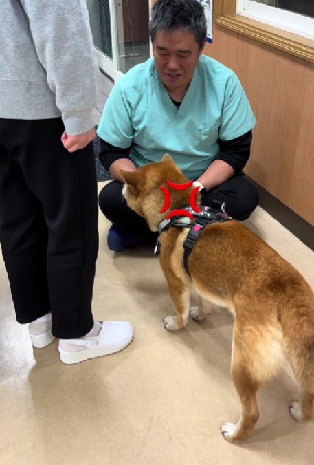 獣医師さんにブチギレ！！