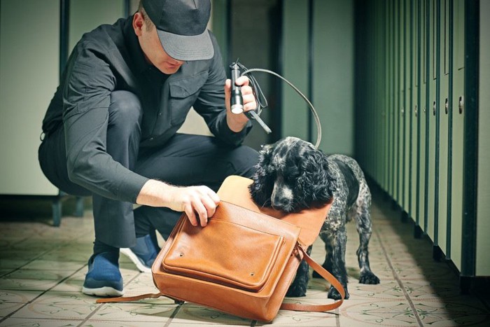 カバンの臭いを嗅ぐ犬