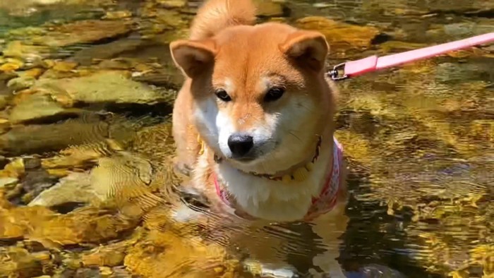「冷たくて気持ちいい～♪」