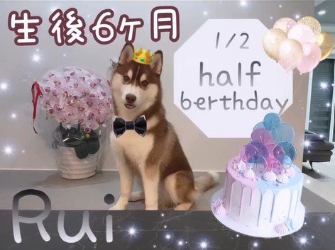 るい君の成長記録6