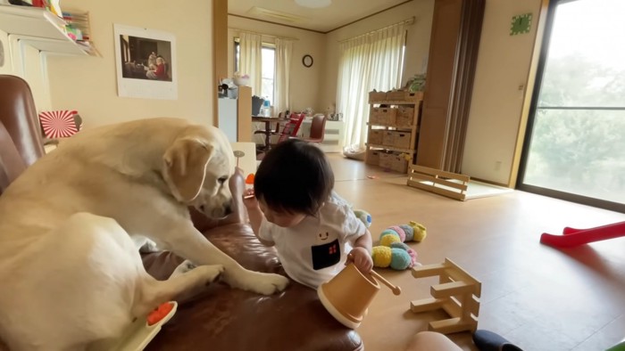 「ちょっとサンちゃん！」