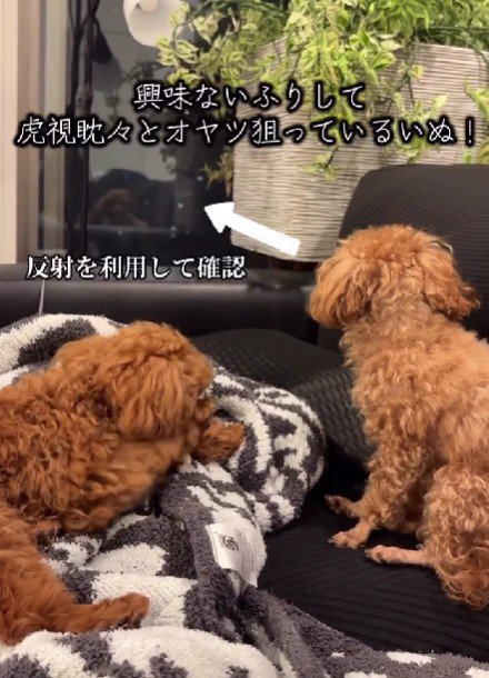 窓の反射を利用してる…!!